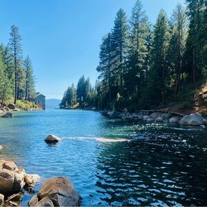 Meet your Posher, Lcea norma